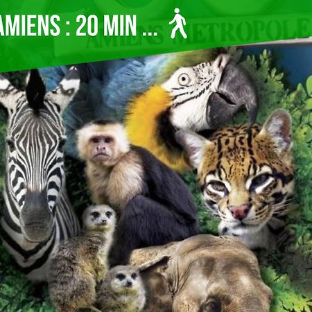 Duplex Safari Jusqu'A 4 Personnes, Spa, Cinema Et Lit Sous Les Arbres, Day Use, 10 Min Centre อาเมียงส์ ภายนอก รูปภาพ