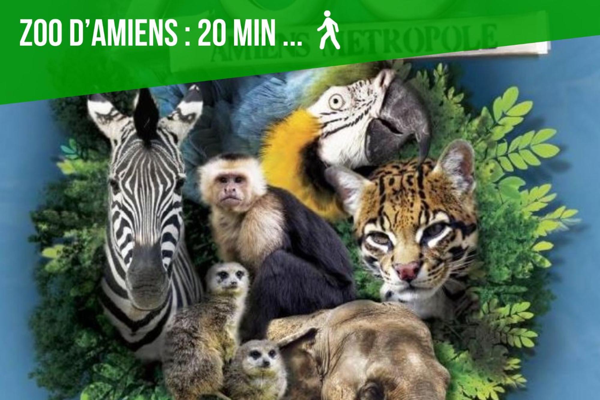 Duplex Safari Jusqu'A 4 Personnes, Spa, Cinema Et Lit Sous Les Arbres, Day Use, 10 Min Centre อาเมียงส์ ภายนอก รูปภาพ